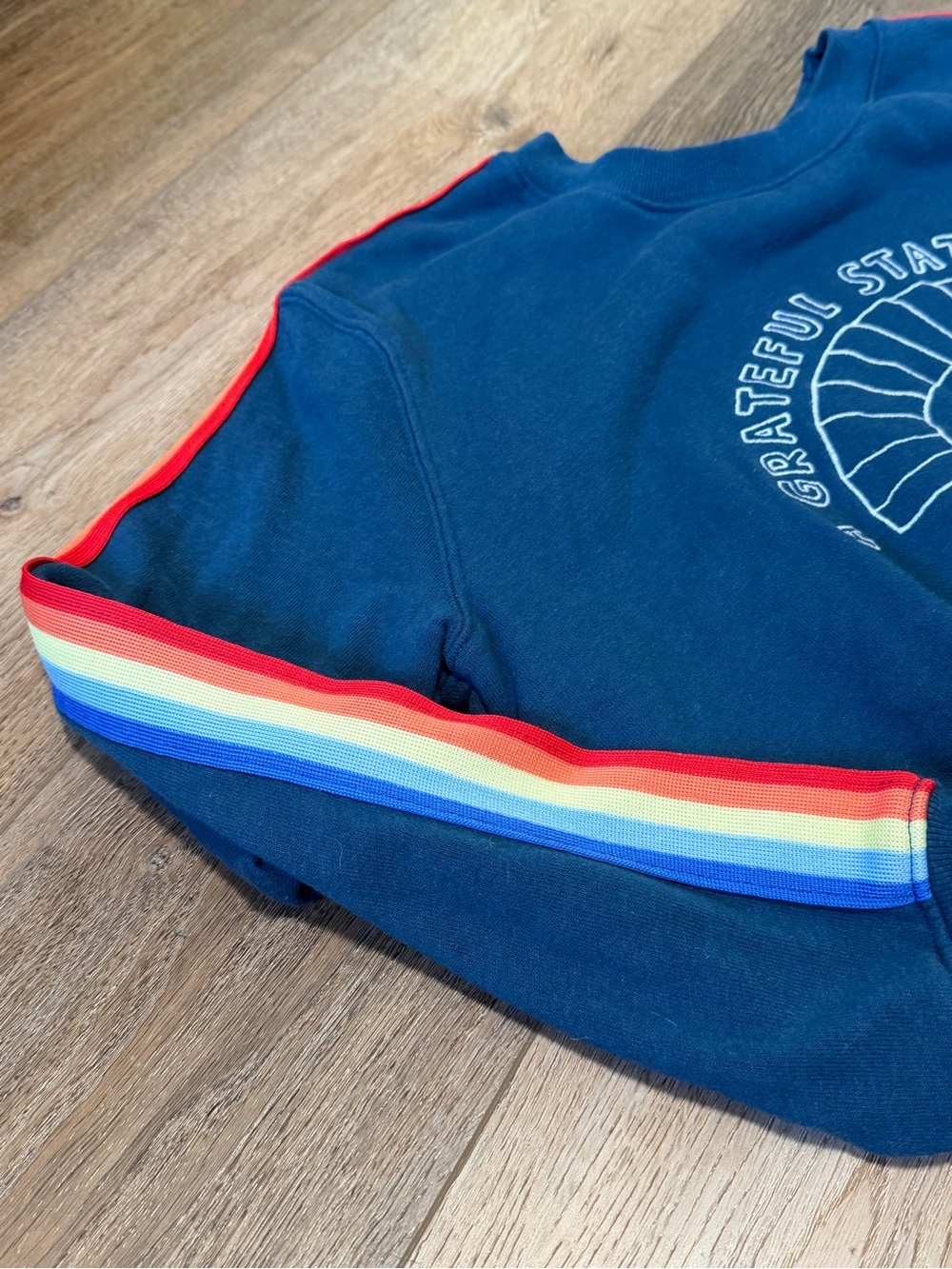 Spiritual Gangster Navy Crewneck Sweatshirt with Rainbow Stripe Detail - Picture 3 of 6
